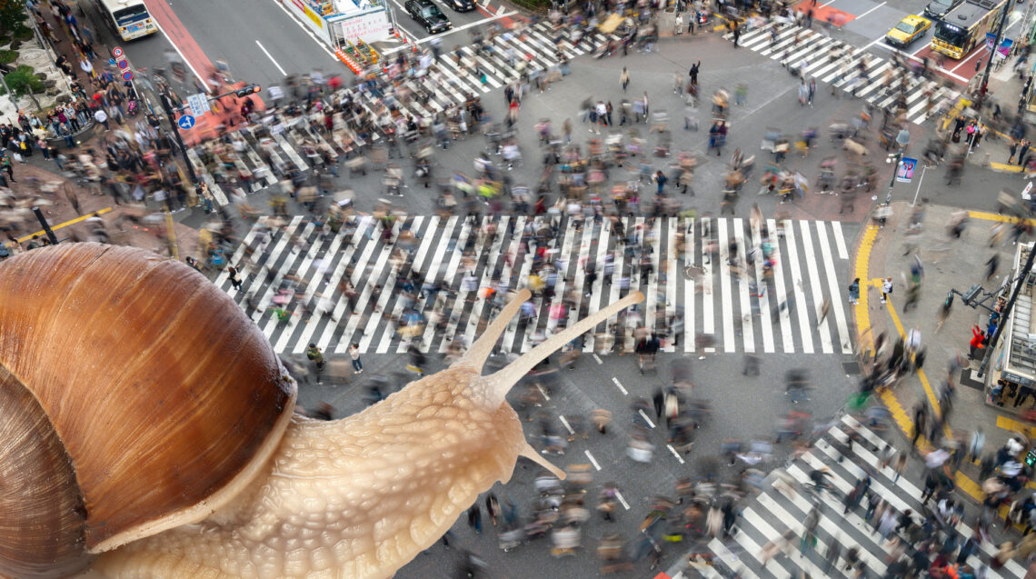 Un fotomontaggio: sullo sfondo c'è un incrocio di strade a Tokyo, ritratto dall'alto, con tante persone che camminano veloci, soprattutto sulle strisce pedonali ma anche, alcune, fuori dalle stesse. A causa della lunga esposizione, sono molto mosse e questo dà il senso del loro spostarsi veloci. In basso a destra nell'inquadratura c'è una grossa lumaca beige di profilo, col guscio a sinistra, di un marrone più scuro e striato a strisce beige, e le lunghe antenne ritte in testa a destra. La lumaca sembra osservare dall'alto la ressa molto movimentata e veloce giù, sulla strada.